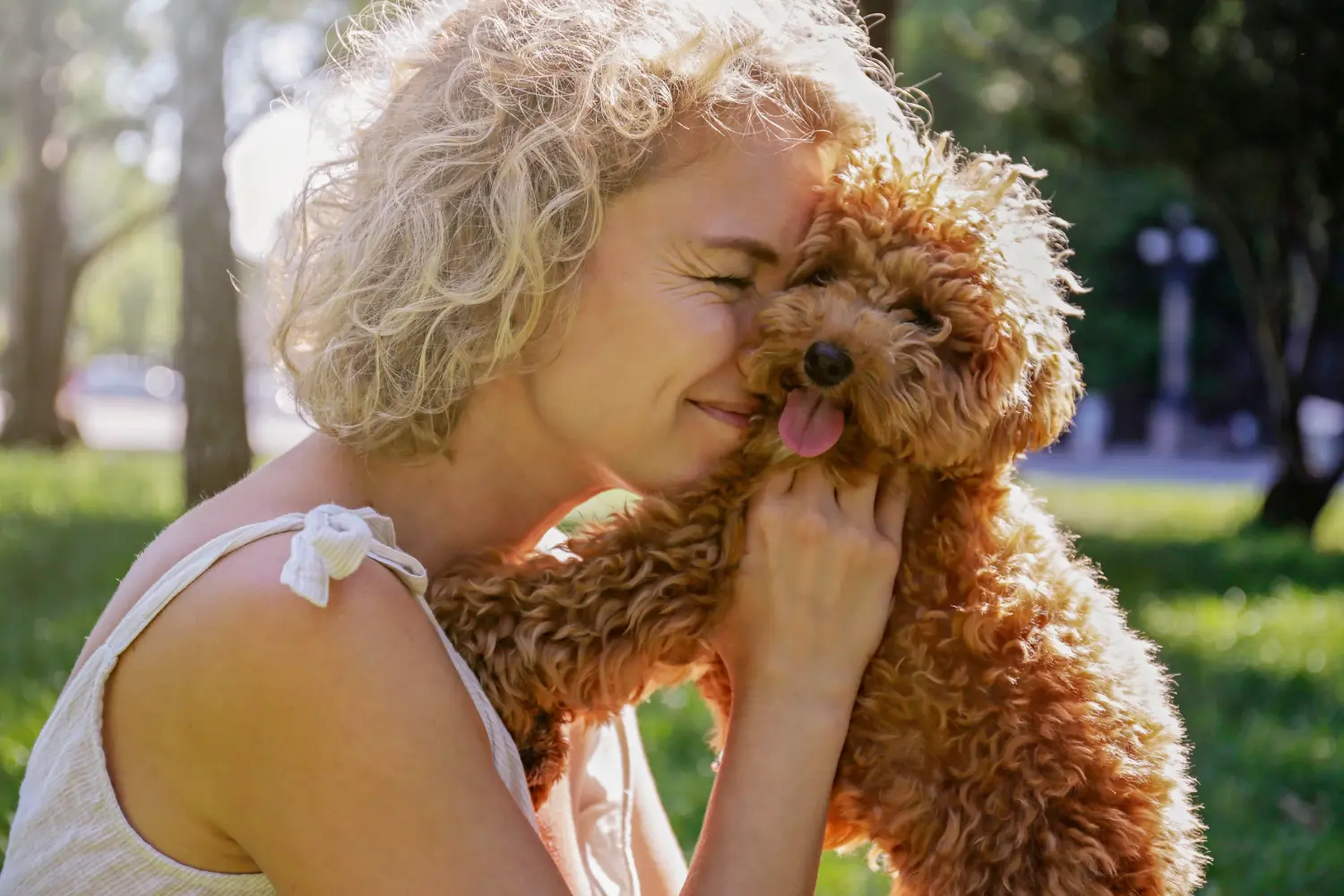 Buying a Maltipoo puppy means taking responsibility! Buy Maltipoo puppies.