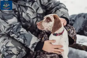 Read more about the article Braque du Bourbonnais breeders and puppies in North Dakota