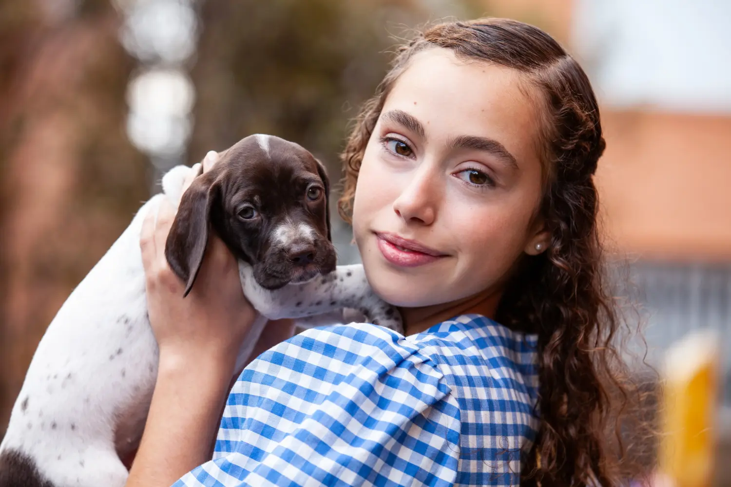 Buying a Braque français type Pyrénées puppy means taking responsibility! Buy Braque français type Pyrénées puppies.