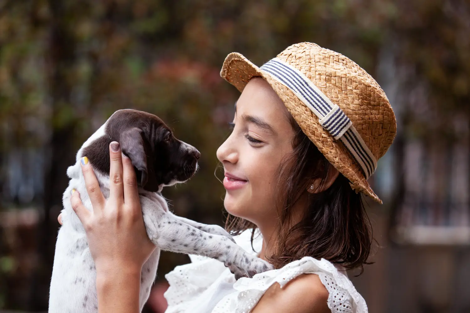 Buying a Braque français type Pyrénées puppy means taking responsibility! Buy Braque français type Pyrénées puppies.