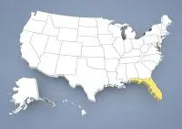 Basset Hound Breeder in Florida,FL, Fla.