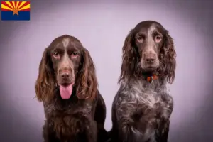 Read more about the article German watchdog breeders and puppies in Arizona