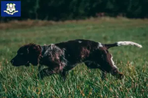 Read more about the article German watchdog breeders and puppies in Connecticut