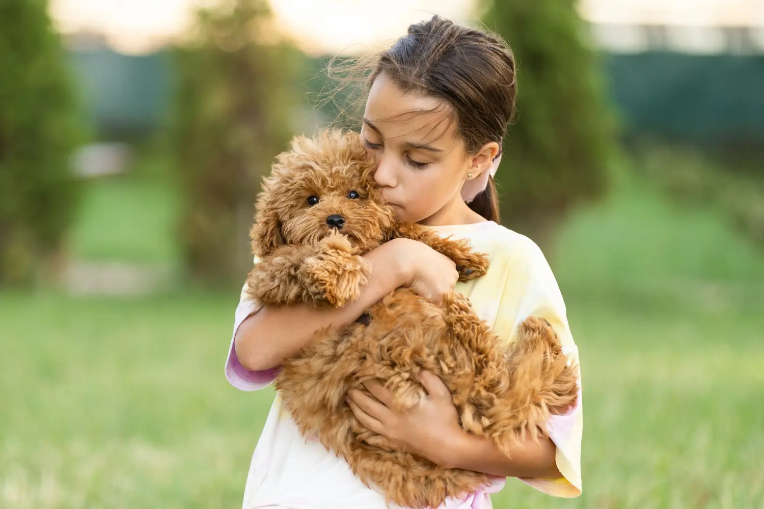 Buying a Maltipoo puppy means taking responsibility! Buy Maltipoo puppies.