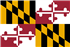 Basset Hound Breeder in Maryland,MD, Md.