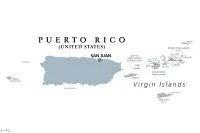 Basset Hound Breeder in Puerto Rico,Estado Libre Asociado de Puerto Rico