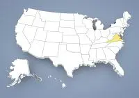 Basset Hound Breeder in Virginia,VA, Va.